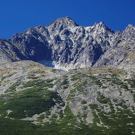 Hviezdicka